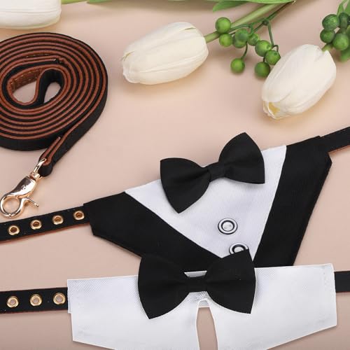 Image of EXPAWLORER Dog Collar and Leash Set - Dog Tuxedo Wedding Outfit Puppy Collar with Suit and Tie, Cute Ring Bearer in Tux Bow and Bandana Design, Proposal Costume for Small Pets