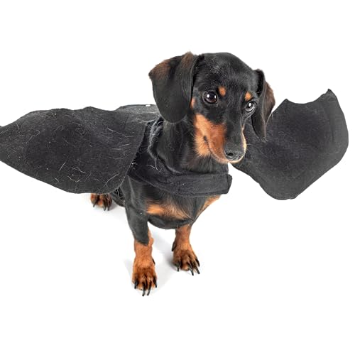 Disfraz Alas de Murciélago para Perro Grande miniatura 3