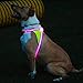 noxgear LightHound - Multicolor LED Illuminated, Reflective Dog Harness (Large)