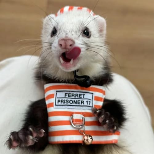 Image of Ferret Harness and Leash Adjustable Soft Cotton Small Pet Harness with Safe Bell, No Pull Comfort Padded Vest for Ferret, Guinea Pigs, Chinchilla (Orange)
