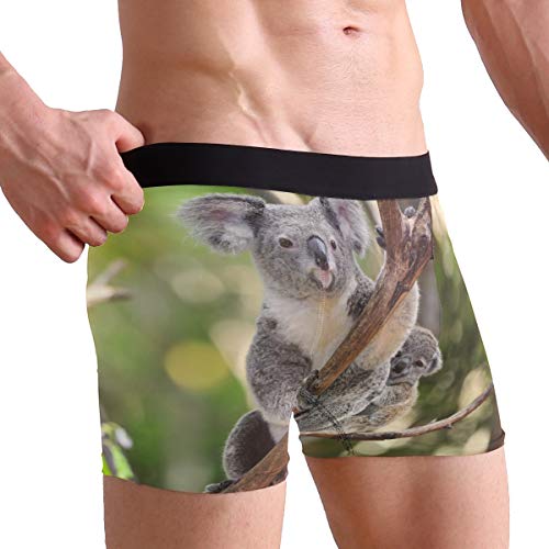 ZZKKO Chameleon Sunflower Mens Boxer Briefs Underwear Breathable Stretch Boxer Trunk with Pouch S-XXL2