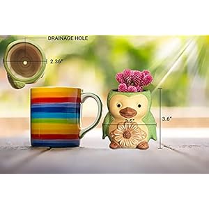 Bird/Penguin Mini Succulent Pots, 3.6x3.5x2.3,Ceramic Animal Succulent planters,Cute Set- 4 Small Flower pots,Cactus Animal Planter, Indoor/Outdoor Plant Pot,Funny Planters with Drainage Hole BirdPenguin Mini Succulent Pots 36x35x23Ceramic Animal Succulent plantersCute Set 4 Small Flower potsCactus Animal Planter IndoorOutdoor Plant PotFunny Planters with Drainage Hole