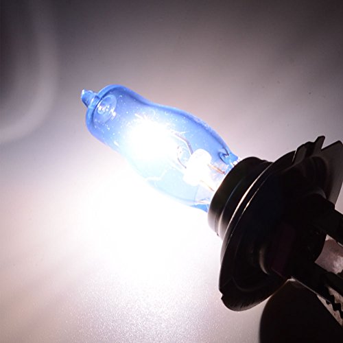 Safego 2Pcs H7 Lampada Alogena Proiettori Faro