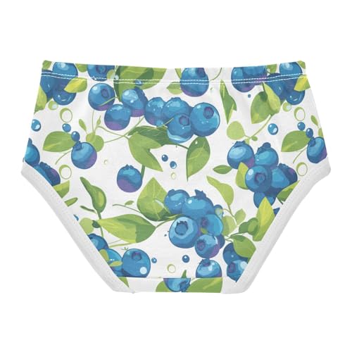 Wusikd Blueberries Fruity Girls' Underwear Cotton Girls Briefs Soft Toddler Underwear 2T2