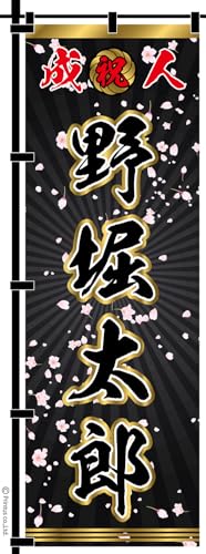 l ̂ڂ |[t  113   ̖O   w ȂǕύX\ IWi  ̂ڂ ȒP 60cm [k