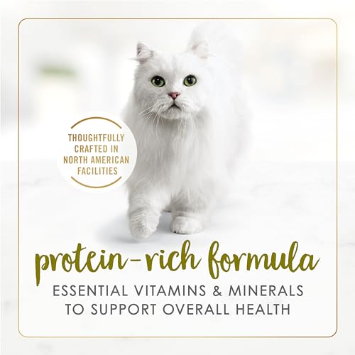Fancy Feast Wet Cat Food, Pate Turkey & Giblets Feast - 85 g Can (24 Pack) image 3