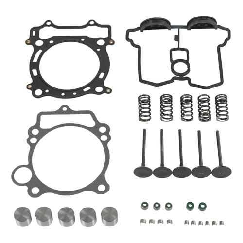 RADHLBNIU Cylinder Head Exhaust Intake Valve & Spring Gasket Kit Compatible with Yamaha YFZ450 2004-2009 WR450F YZ450F 2003-2006 Replace#5TA-11181-00-00,5TA-11351-00-00