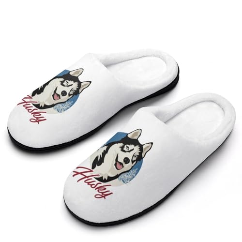 [BFLCWM] Xbp nXL[  RbgXbp [V[Y  fB[X ~ 􂦂  p qp