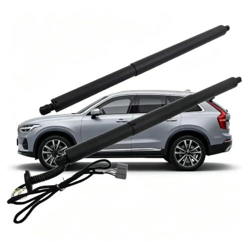 Vérin Hayon Arrière Électrique de haute précision Tucson