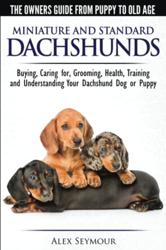 Dachshunds   The Owner's Guide from Puppy To Old Age   Choosing, Caring For, Grooming, Health, Training and Understanding Your Standard or Miniature Dachshund Dog