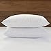 downluxe Pillow Inserts,Set of 2
