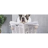 Versatilidad: se puede utilizar de muchas maneras, como proyectos de manualidades, decoración de paredes y tablones de anuncios, decoración de tarjetas de felicitación, álbumes de recortes y cubiertas de libros.