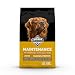 Diamond Dry Adult Dog Food, Maintenance Chicken Flavor, 40-Pound Bag