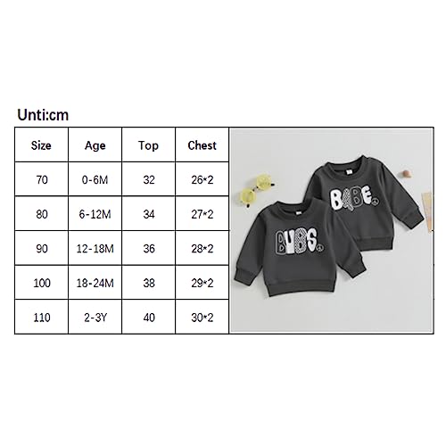 Boibokoko Toddler Baby Girl Boy Sweatshirt Bubs/Babe Crewneck Long Sleeve Sweater Solid Color Top Blouse Fall Clothes (Babe, 0-6 Months) #TOP6