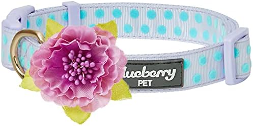 Blueberry Pet Adjustable Flocking Dog Collar with Artificial Silk Flower - Polka Dot in Pastel Purple, Medium, Neck 14.5"-20"
