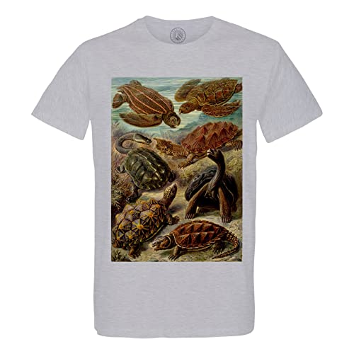 T-shirt tortue de mer haut de gamme pour homme en coton bio de style gravure naturaliste