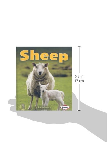 Farm Animals:Sheep(Gr.K-2)