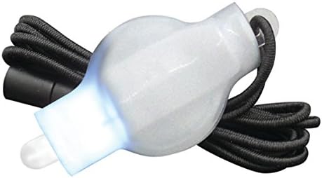 Pack of 10 Acolyte FloraLyte II White LED - FloraLyte 2 with On Off Switch