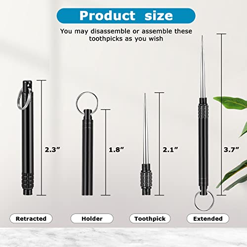Chengu 5 Pieces Portable Titanium Toothpicks Metal Pocket Toothpick With Protective Holder Stainless Steel Toothpick Reusable Toothpicks For Picnic Camping Traveling (Black) #TOP1