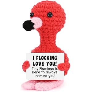 Funny Anniversary Women Gifts, Birthday I Love You Flamingo Gifts for Her Him, Christmas Stocking Stuffers Romantic Gift for Girlfriend Wife Couple Boyfriend, Handmade Crochet Flamingo Lover Present