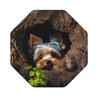 Cuccioli Di Yorkshire Terrier ix