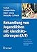 Produktbild Behandlung von Jugendlichen mit Identitätsstörungen (AIT): Ein integratives Therapiekonzept für Persönlichkeitsstörungen