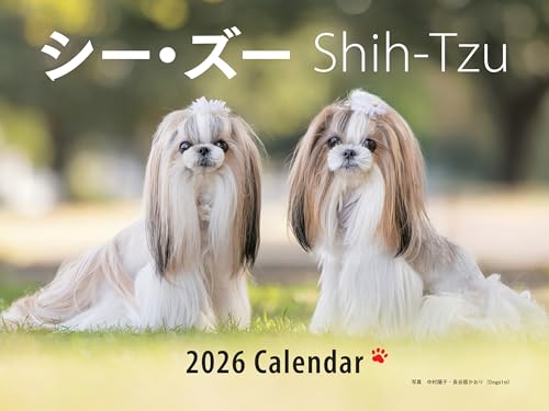 2026年カレンダー ワイド判 シー・ズー (誠文堂新光社カレンダー)