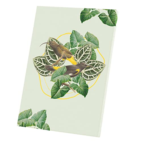 Poster cyanerpe oiseau tropical 60x85 cm pour grand mur vide