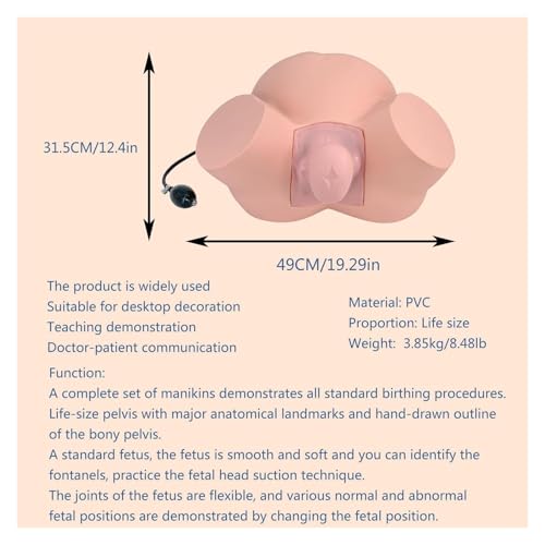 Simulateur de naissance AMITD en salle de simulation pour futurs obstétriciens