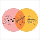 Keytar Platypus Venn Diagram - Purple Orange Yellow Bumper Sticker Window Water Bottle Decal 5'