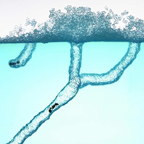 Small Worldの商品画像