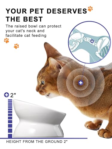 Y-YHY-Cat-Bowl-Anti-Vomiting-Raised-Cat-Food-Bowls-Tilted-Elevated-Cat-Bowl-Ceramic-Pet-Food-Bowl-for-Flat-Faced-Cats-Small-Dogs-Protect-Pets-Spine-Dishwasher-Safe Y YHY Cat Bowl Anti Vomiting, Raised Cat Food Bowls, Tilted Elevated Cat Bowl, Ceramic Pet Food Bowl for Flat Faced Cats, Small Dogs, Protect Pet's Spine, Dishwasher Safe - Image 6