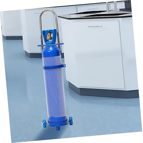 Fixation murale pour bouteille de gaz propane en acier robuste Hemobllo