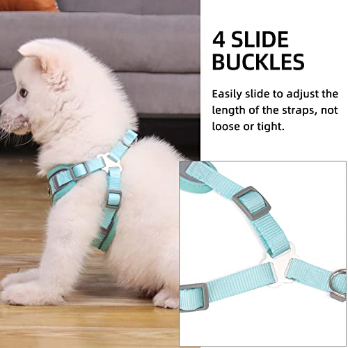 Rennaio Dog Harness No Pull, Adjustable Puppy Harness With 2 Leash Clips, Ultra Breathable Padded Dog Vest Harness, Reflective Dog Harness And Leash Set For Small And Medium Dogs (Cyan, M) #TOP4
