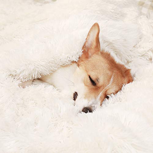 HACHIKITTY Faux Fur Dog Blanket Large, Soft Dog Blanket Large Dogs, Soft Dog Blanket Multiple Use - Image 6