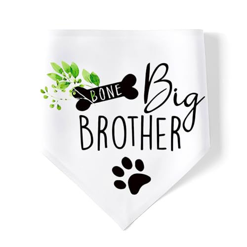 RTRTGS Pañuelo para Perros Bandana para Mascotas, Triangular, para Perros medianos, Ropa Cotidiana, Fiestas, Bodas, fotografía, Big Brother