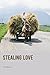Stealing Love: A humorous Romantic Novel