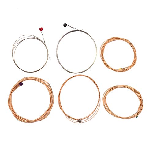 AR[XeBbNM^[ZpC[û̑nϐH6̕Zbg yDƂ̂߂