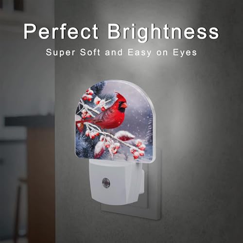 Image of Winter Red Cardinal Bird Night Light for Kids,Christmas Pine Tree Snow Cardinal Night Light Plug in with Dusk to Dawn Sensor,0.5w Energy Saving Nightlight for Hallway Stairway Kitchen Bedroom