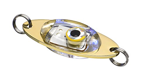 Fladen Angeln – 20 g Pilker LED Attraktor Aufsatz Blinklicht für Nachahmung lockt (verschiedene Farben) – Ideal für Deep Sea, Eis, Spin und Predator Angeln (Rot)