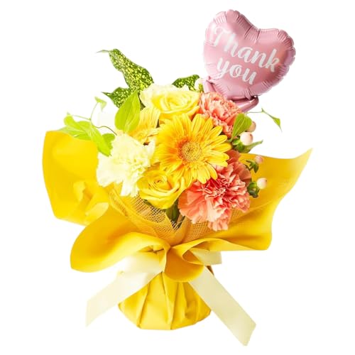 bloomee(u[~[) ̂܂܏ u[P  STCY (thank you o[ t)  ~j ԑ (Mtg v[g j) ސEj j Ǝ JXj t[Mtg (ԕrsv 炸)