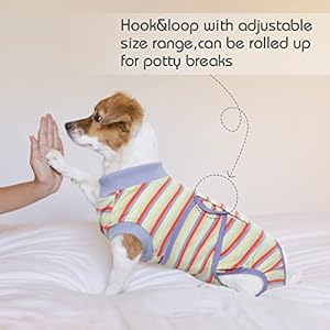 Fuamey recovery suit for dogs after surgerysoft breathable dog bodysuit e collar  cone alternative surgical suitmale female dog neuter spay suits anti licking wounds onesie purple stripes xs   cucciolini doodles