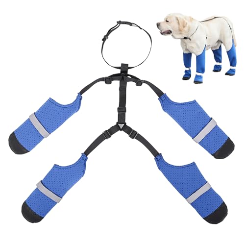 Botas de pata de perro Leggings - aventuras problemáticas zapatos impermeables para perros | Botas de invierno antideslizantes para perros de peso medio con tirantes sucios, cuatro estaciones