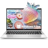 HP EliteBook 845 G8 Laptop, 14-inch FHD(1920x1080), AMD Ryzen 5 Pro 5650U, 16 GB RAM, 256 GB SSD, Backlit KBL, Fingerprint Unlock, HDMI, Windows 11 Pro (Renewed)