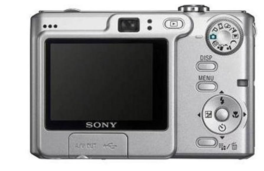 Sony Cyber-Shot DSC-W35 Digitalkamera (7 Megapixel, 3-Fach