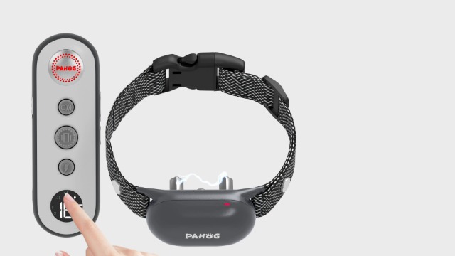 Amazon.com : PAHOG Dog Training Collar with Remote, Electric