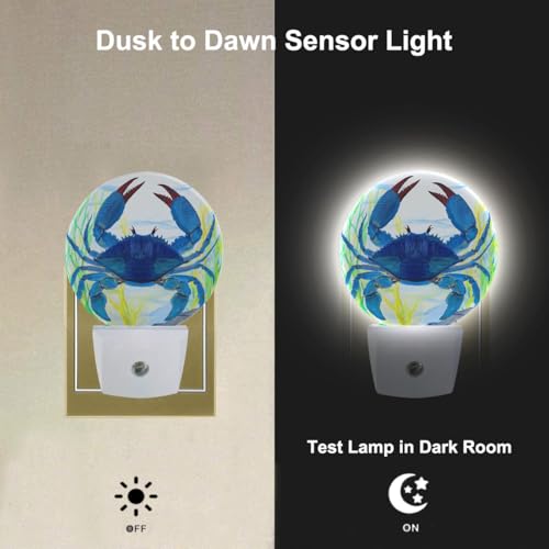 Image of Blue Crab Night Light Shellfish Sea Grass Night Lights Plug into Wall 0.5W LED Lighting Auto on /Off for Hallway Stairway Kitchen Home Decor