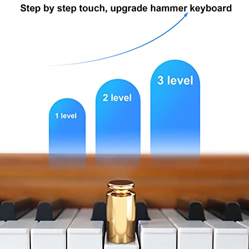 88 Touches Pondérées Clavier Piano Piano Numérique Instrument De Musique Piano Avec Support De Clavier Avec Connexion Bluetooth Pédale De Sustain for Les Cadeaux D’anniversaire De Vacances (Color : B - Les Beatles, Paul McCartney, John Lennon, RIngo Starr, George Harrison 88 Touches Pondérées Clavier Piano Piano Numérique Instrument De Musique Piano Avec Support De Clavier Avec Connexion Bluetooth Pédale De Sustain for Les Cadeaux D'anniversaire De Vacances (Color : B – Image 5