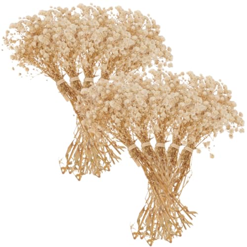 Bouquet de flores secas Babysbreath natural beige 12cm miniatura 1