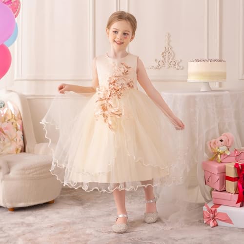 Flower Girl Dress,Toddler Formal Dress Birthday Party Wedding Floral Embroidered Tulle Satin Dresses for Kids Age 2-122